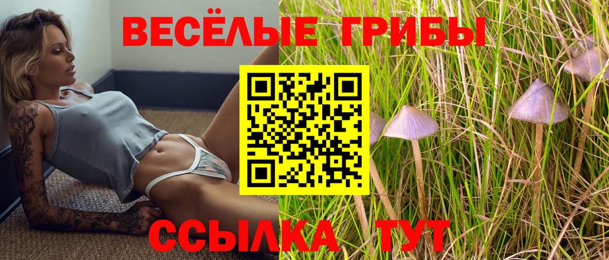 Псилоцибиновые грибы Psilocybine cubensis Среднеуральск